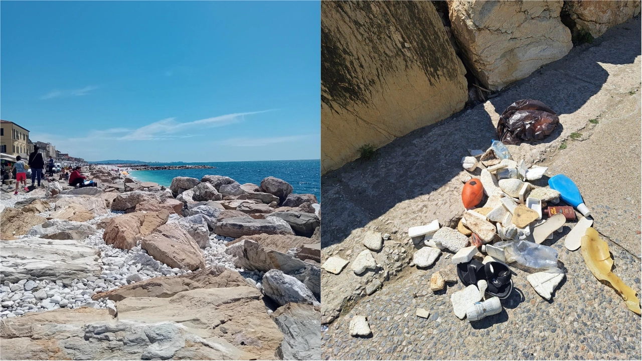 Solo una minima parte della sporcizia rinvenuta dietro a un singolo scoglio Solo una minima parte della sporcizia rinvenuta dietro a un singolo scoglio