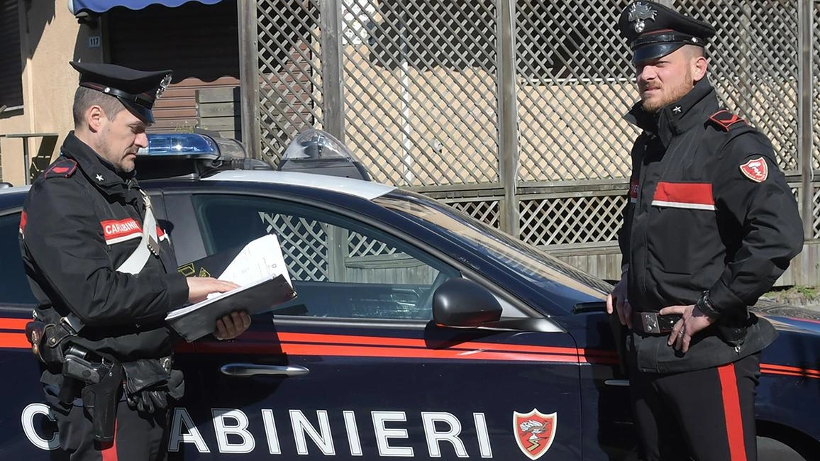 L'operazione dei carabinieri (Foto di repertorio)