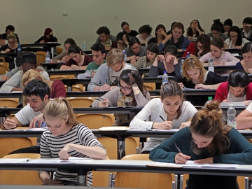 immagine articolo