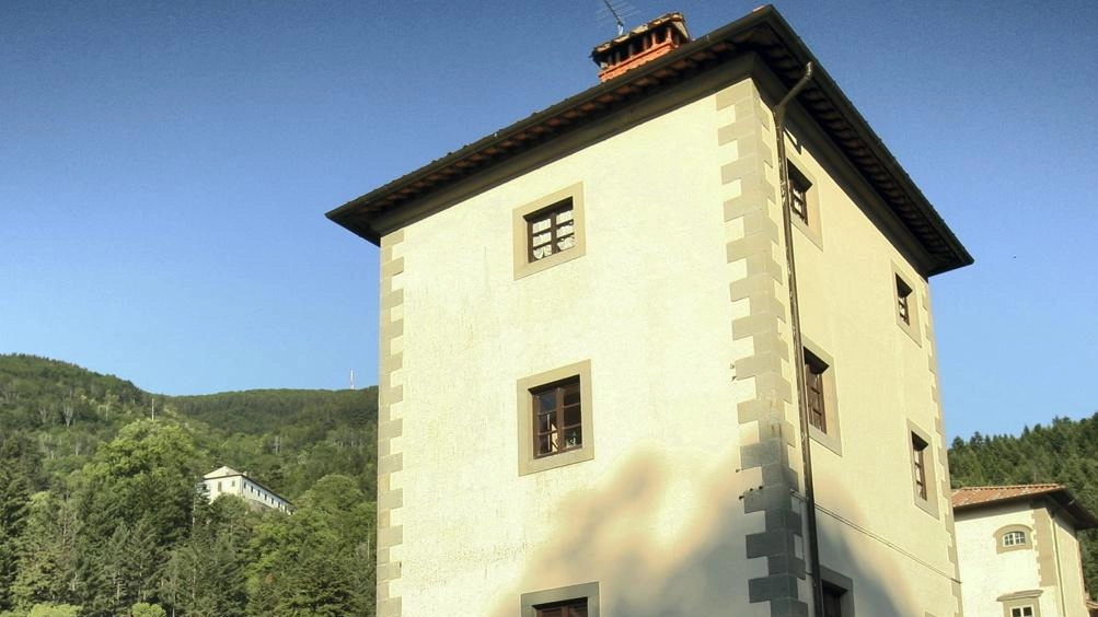 Il pratone di Vallombrosa diventerà più accessibile con – tra le varie novità - una grande passerella in... Il pratone di Vallombrosa diventerà più accessibile con – tra le varie novità - una grande passerella in...