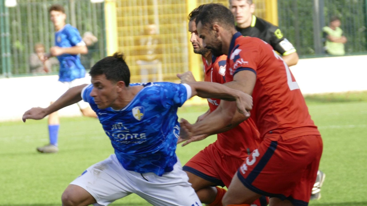 Il derby tra Prato e Pistoiese evidenzia superiorità difensiva. Cecchini e Bertolo in evidenza, deludenti gli attaccanti. Viaccia sconfitto 4-0 da Pietrasanta in Promozione. Allenatore Giugni guarda avanti con fiducia. Il derby tra Prato e Pistoiese evidenzia superiorità difensiva. Cecchini e Bertolo in evidenza, deludenti gli attaccanti. Viaccia sconfitto 4-0 da Pietrasanta in Promozione. Allenatore Giugni guarda avanti con fiducia.
