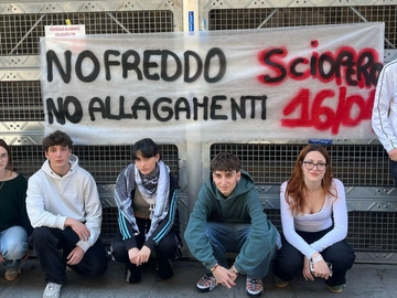immagine articolo