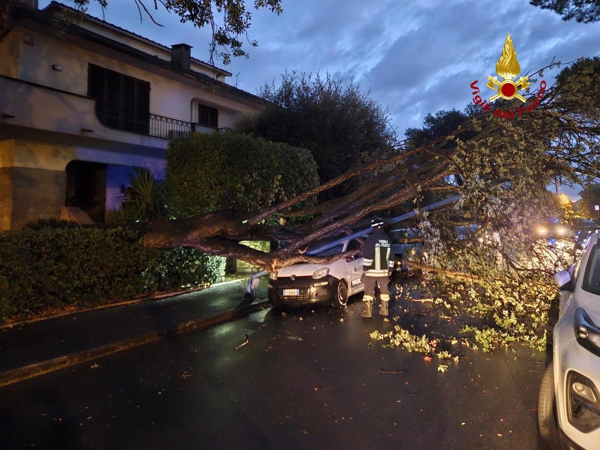 Alberi caduti nel grossetano, un’altra notte di lavoro per i vigili del fuoco a causa del maltempo