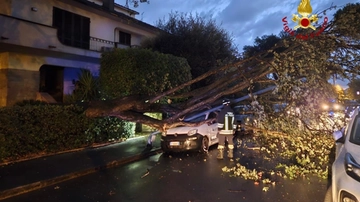 Alberi caduti nel grossetano, un’altra notte di lavoro per i vigili del fuoco a causa del maltempo