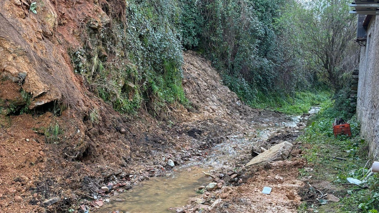 L’area della frana del versante del monte sul rio Borgarina in vicolo Il Rietto, nella zona di San Niccolao, tra Buti e Vicopiano L’area della frana del versante del monte sul rio Borgarina in vicolo Il Rietto, nella zona di San Niccolao, tra Buti e Vicopiano