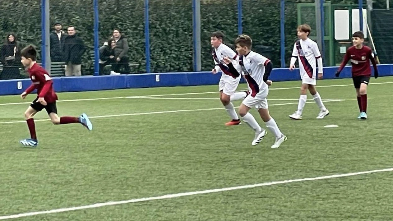 Forte tensione tra genitori e società calcistica Giovani Granata a Monsummano Terme per la restituzione delle quote di iscrizione e l'incertezza sul futuro della scuola calcio. L'amministrazione comunale ha trovato una nuova cordata, ma le famiglie chiedono chiarezza e minacciano denunce. Forte tensione tra genitori e società calcistica Giovani Granata a Monsummano Terme per la restituzione delle quote di iscrizione e l'incertezza sul futuro della scuola calcio. L'amministrazione comunale ha trovato una nuova cordata, ma le famiglie chiedono chiarezza e minacciano denunce.