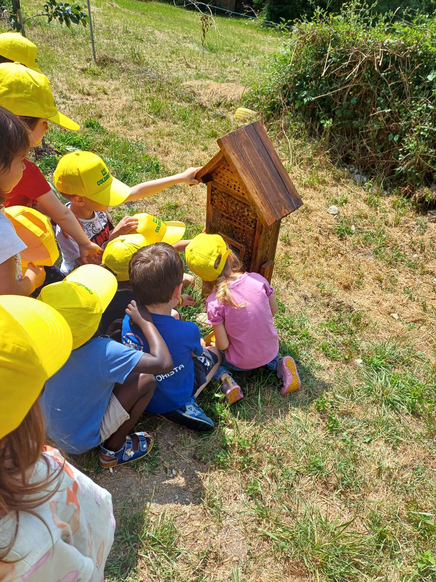 biodiversit224 coldiretti e l associazione le mani che lavorano promuovono la difesa biologica con il lancio di insetti utili per un agricoltura sostenibile