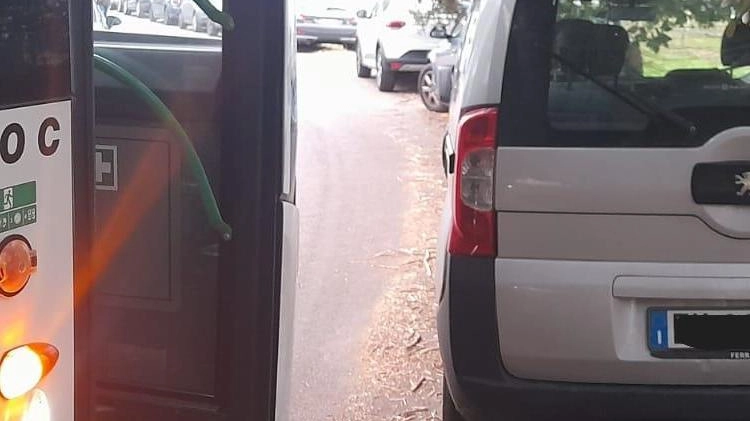 Corse dei bus saltate a San Rossore a causa della sosta selvaggia. Autolinee Toscane valuta denunce per interruzione di pubblico servizio. Corse dei bus saltate a San Rossore a causa della sosta selvaggia. Autolinee Toscane valuta denunce per interruzione di pubblico servizio.