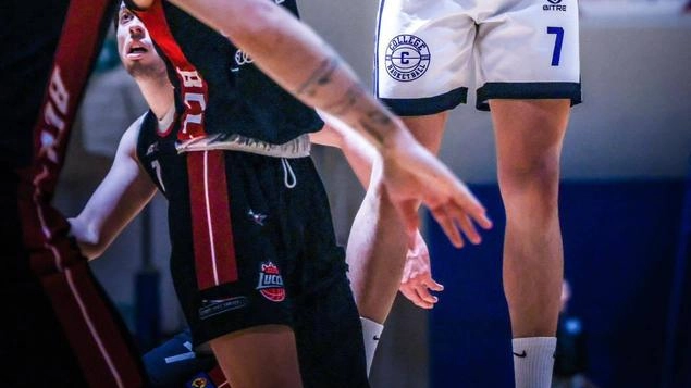 È iniziata la settimana che conduce alle prime amichevoli di precampionato del Vismederi Costone. Il primo appuntamento è fissato per...