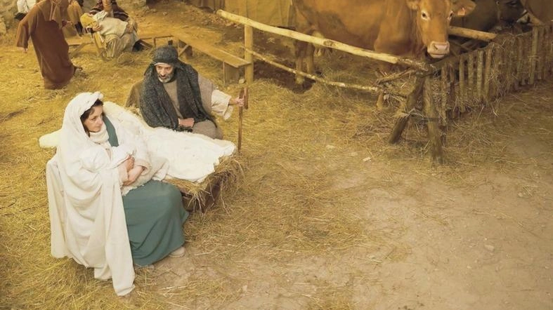 Da 12 anni il somarello con una croce disegnata sulla schiena è il prescelto. Accanto al bue che arriva da Aulla è tra i protagonisti a Equi Terme. Da 12 anni il somarello con una croce disegnata sulla schiena è il prescelto. Accanto al bue che arriva da Aulla è tra i protagonisti a Equi Terme.