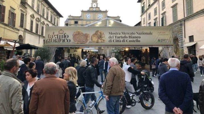 La mostra sarà gestita dall’ Ente Fiera Salone Nazionale tartufo bianco pregiato La mostra sarà gestita dall’ Ente Fiera Salone Nazionale tartufo bianco pregiato