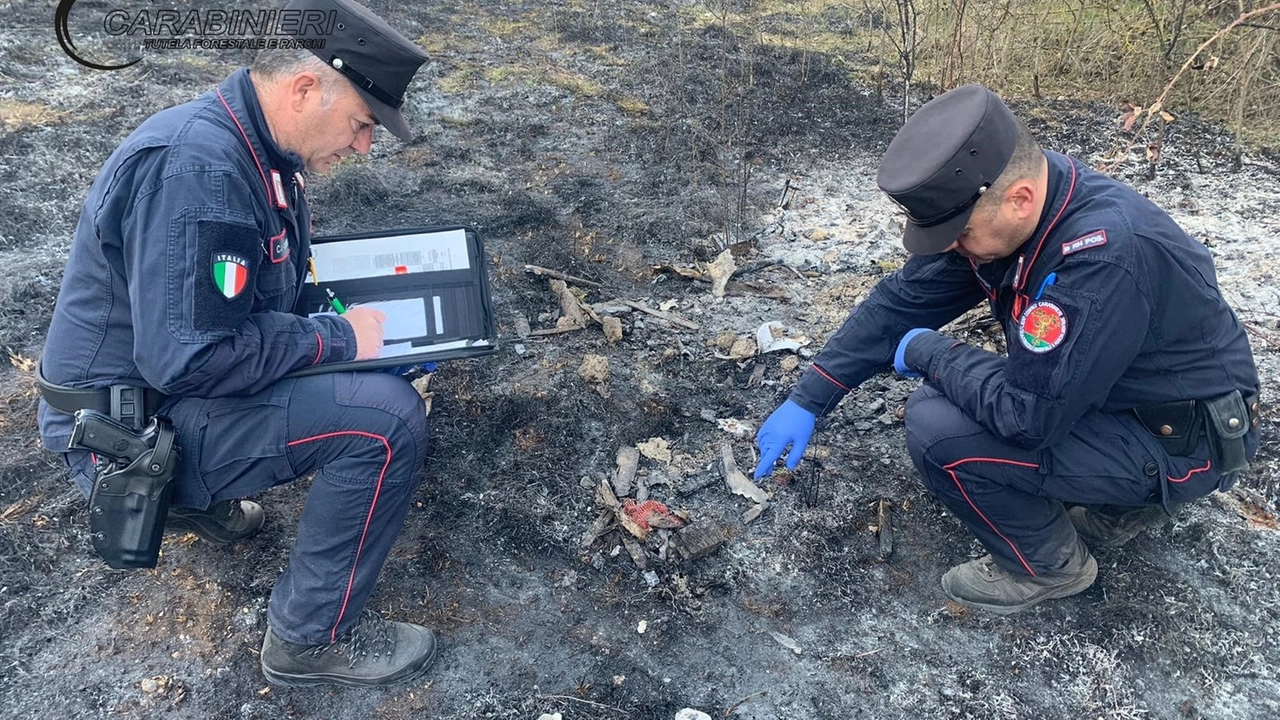 I carabinieri forestali nell'area incendiata