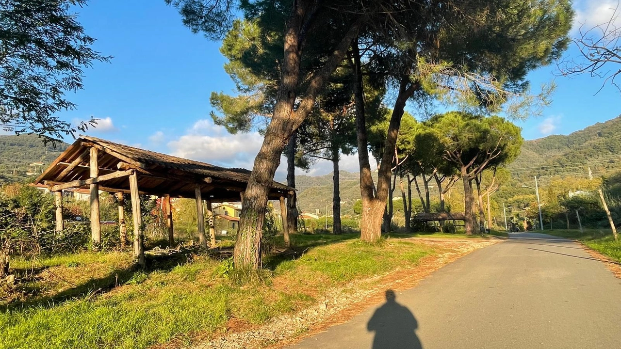 L’area verde in cui sarà realizzato il nuovo parco inclusivo L’area verde in cui sarà realizzato il nuovo parco inclusivo