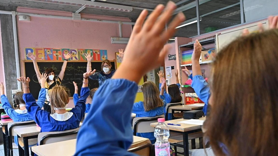 Giovani studenti di Impruneta premiati a Bruxelles per favola sul clima. Educazione creativa e sostenibilità al centro dell'iniziativa. Giovani studenti di Impruneta premiati a Bruxelles per favola sul clima. Educazione creativa e sostenibilità al centro dell'iniziativa.