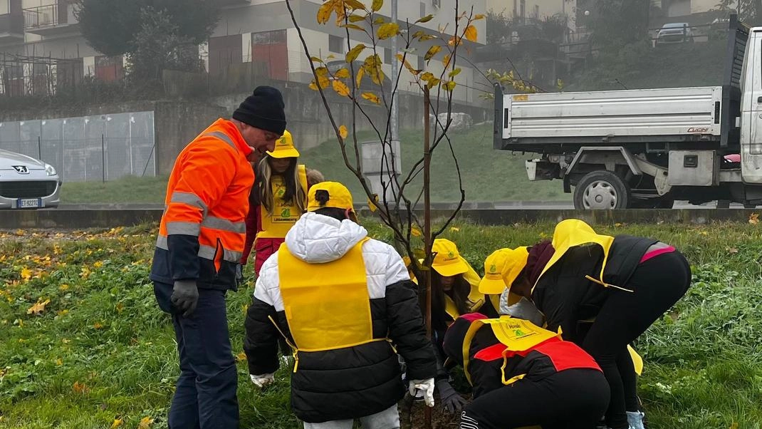La "Festa dell’albero" a Rignano: studenti piantano arbusti per il verde urbano. Coinvolti anche in "Puliamo il mondo" per la salvaguardia dell'ambiente. Impegno concreto della comunità e delle scuole per un clima di pace. La "Festa dell’albero" a Rignano: studenti piantano arbusti per il verde urbano. Coinvolti anche in "Puliamo il mondo" per la salvaguardia dell'ambiente. Impegno concreto della comunità e delle scuole per un clima di pace.
