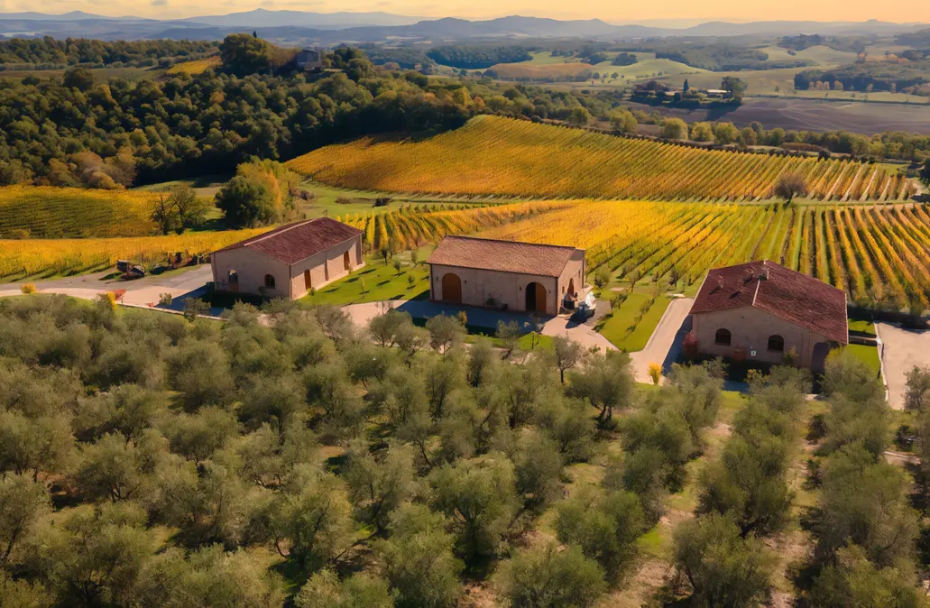La stagione viticola . Analisi di Confagricoltura: "Produttori costretti a fare i conti con il clima"