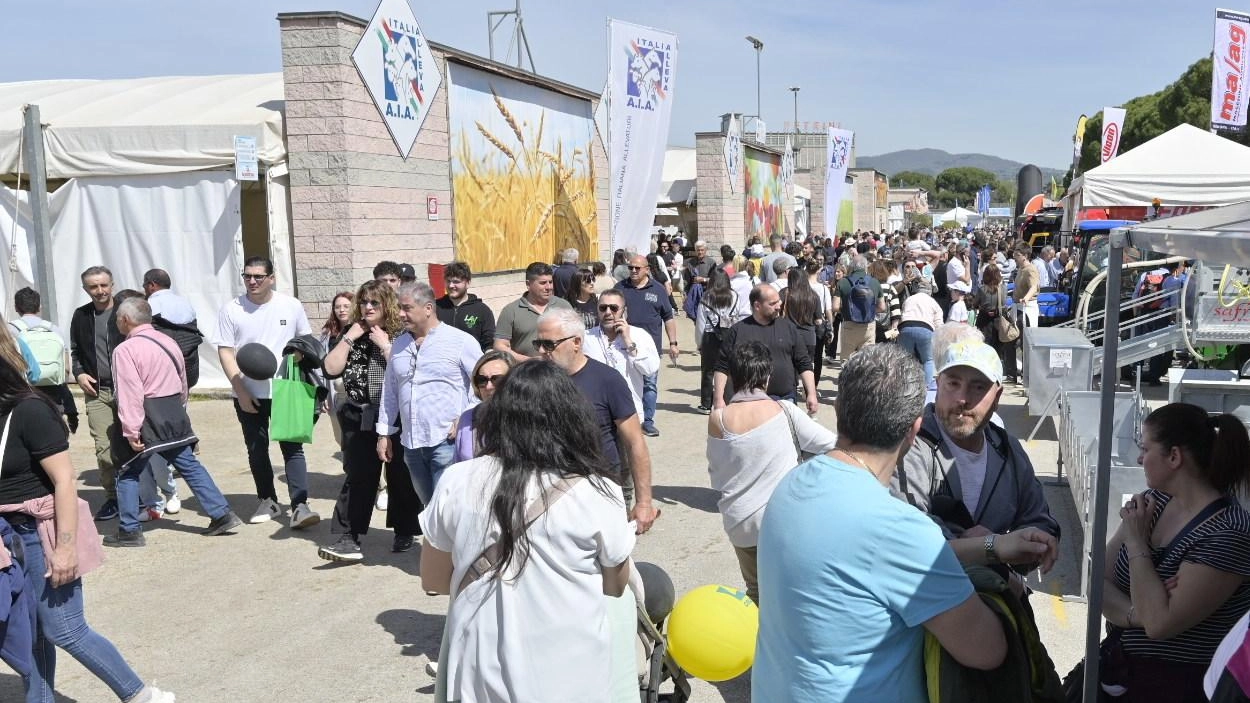 La 56esima edizione di Agriumbria è in programma dal 28 al 30 marzo: saranno oltre 600 i capi zootecnici presenti all’attesissima manifestazione fieristica La 56esima edizione di Agriumbria è in programma dal 28 al 30 marzo: saranno oltre 600 i capi zootecnici presenti all’attesissima manifestazione fieristica