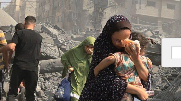 la zanzara in fortezza il negazionista del genocidio a gaza david parenzo e l estimatore delle politiche di netanyahu e milei giuseppe cruciani invitati con lo spettacolo dalla fondazione guido d arezzo