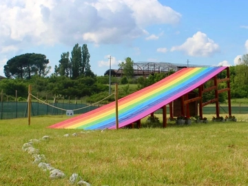 immagine articolo