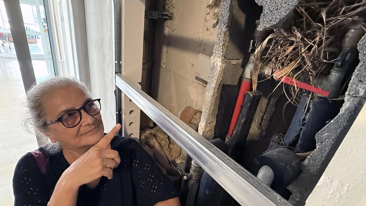 Le famiglie degli alloggi in via Marche si appellano a Palazzo Vecchio "Che fine ha fatto il progetto milionario del riscaldamento a costo zero?". Casa Spa: "Siamo attivi sulla derattizzazione, mancano le segnalazioni".