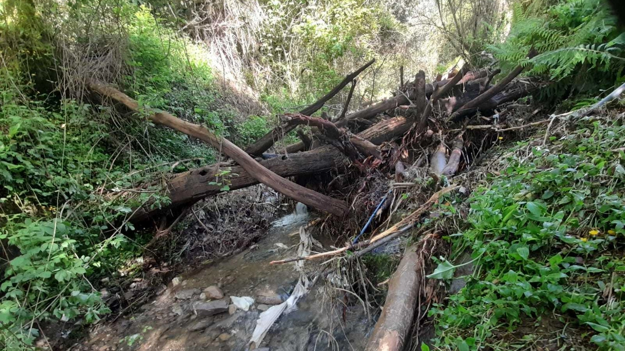 La pioggia di tronchi, detriti e sassi che sta ostruendo il canale Bertino a Fossola mettendo a repentaglio la sicurezza dell’intera frazione. L’allarme degli ambientalisti di Italia Nostra e della Pro loco La pioggia di tronchi, detriti e sassi che sta ostruendo il canale Bertino a Fossola mettendo a repentaglio la sicurezza dell’intera frazione. L’allarme degli ambientalisti di Italia Nostra e della Pro loco