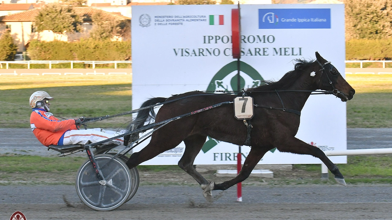 Nell'immagine l'olandese Heart of Steel con l'allenatore Alessandro Gocciadoro