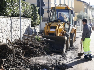 immagine articolo