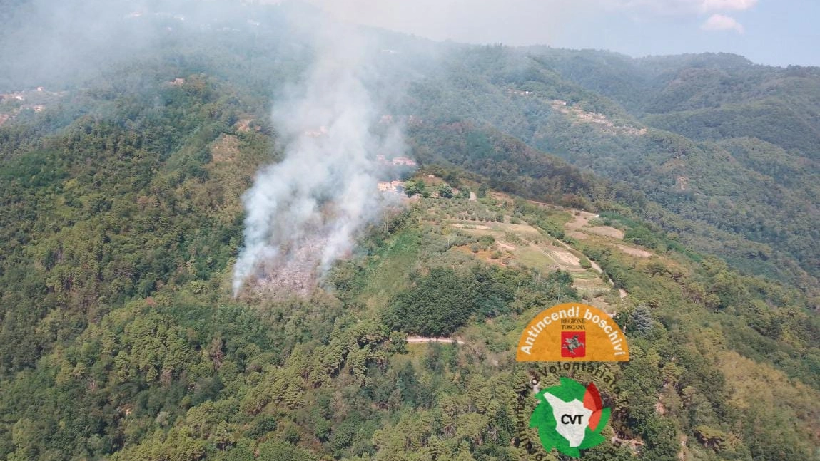 L'incendio in un'ampia porzione di bosco nelle vicinanze del paese di Marliana L'incendio in un'ampia porzione di bosco nelle vicinanze del paese di Marliana