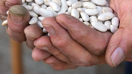 In Valleriana oggi e domani si rinnova un appuntamento all’insegna dell’eccellenza gastronomica. Il circolo paesano di Sorana ha organizzato l’edizione... In Valleriana oggi e domani si rinnova un appuntamento all’insegna dell’eccellenza gastronomica. Il circolo paesano di Sorana ha organizzato l’edizione...