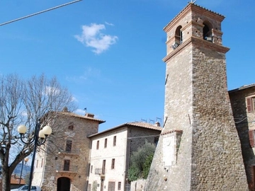 immagine articolo