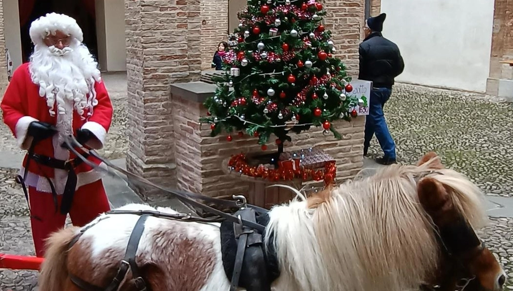 Il presidente di Conflitorale Confcommercio presenta gli eventi natalizi sul litorale, con luci e spettacoli per grandi e piccoli fino a fine dicembre. Il presidente di Conflitorale Confcommercio presenta gli eventi natalizi sul litorale, con luci e spettacoli per grandi e piccoli fino a fine dicembre.
