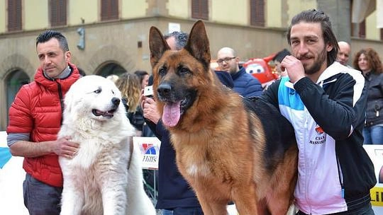 Uno dei tanti eventi dedicati agli amici a quattro zampe in Italia. Quello di Comano si svolgerà a partire da stamani