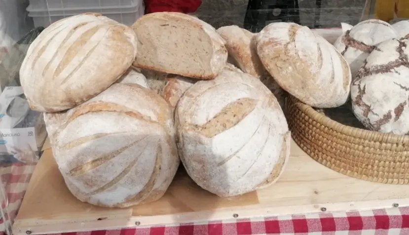 Firenze, torna la Fierucola del Pane in piazza Santissima Annunziata
