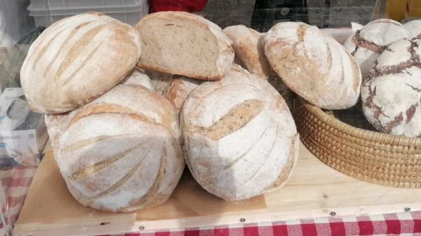 Pane