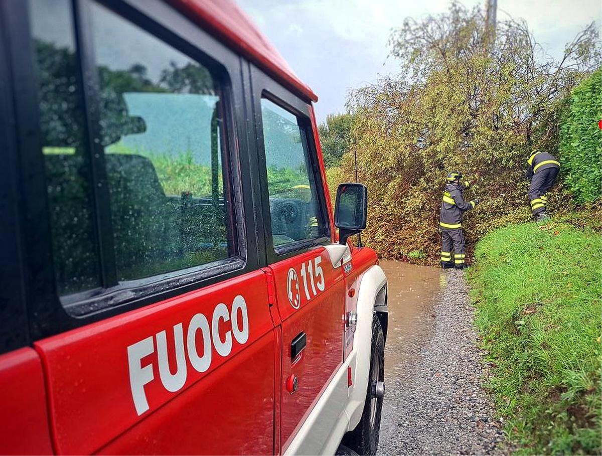 Taglia l’albero, muore schiacciato. La tragedia a due passi da casa