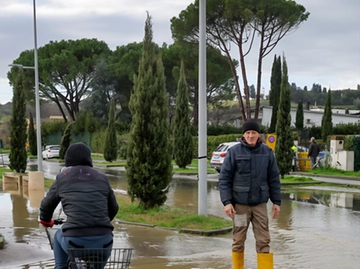 immagine articolo