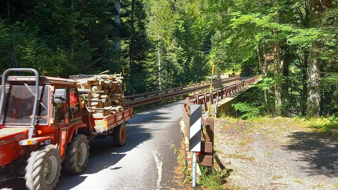https://www.lanazione.it/image-service/view/acePublic/alias/contentid/ZjJiOWE1YjItNzhiNS00/0/cantiere-al-ponte-dei-mandrini-i-lavori-slittano-di-una-settimana.jpeg?f=16:9&w=1200&h=630