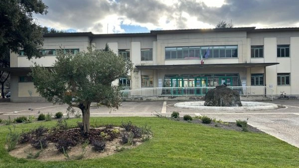 L'Istituto Petrarca L'Istituto Petrarca