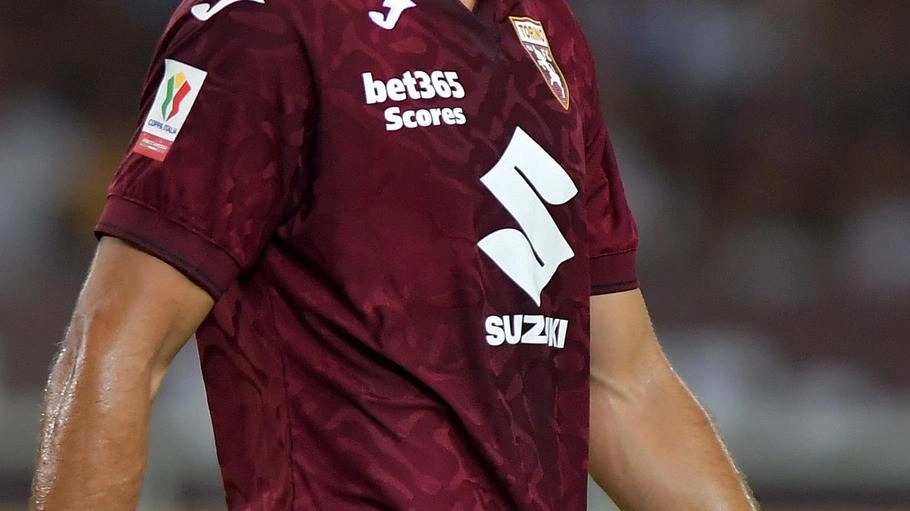 Simeone con la maglia del Torino