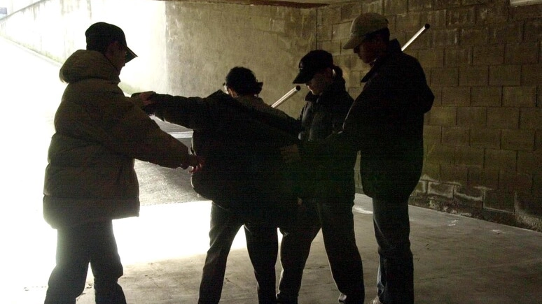 Capraia e Limite, allarme baby gang e vandali (foto repertorio)