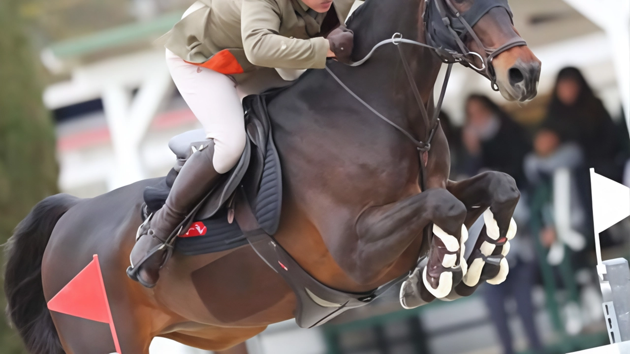 Nico Lupino conquista il secondo posto al Gold Tour, qualificandosi per il Gran Premio di domenica. Successo per gli azzurri anche nel Silver Tour.