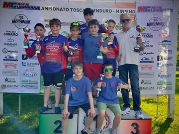 immagine articolo