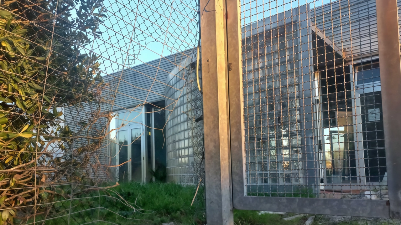 La recinzione della piscina comunale di Castelfranco è ancora rotta. C’è un grosso buco, accanto al cancello di ingresso, forse fatto da chi aveva occupato la struttura La recinzione della piscina comunale di Castelfranco è ancora rotta. C’è un grosso buco, accanto al cancello di ingresso, forse fatto da chi aveva occupato la struttura