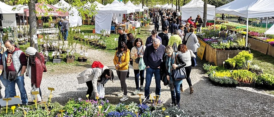 Lucca, torna VerdeMura: la grande fiera del giardinaggio