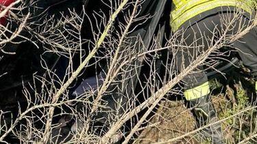 auto si ribalta sbatte contro un albero