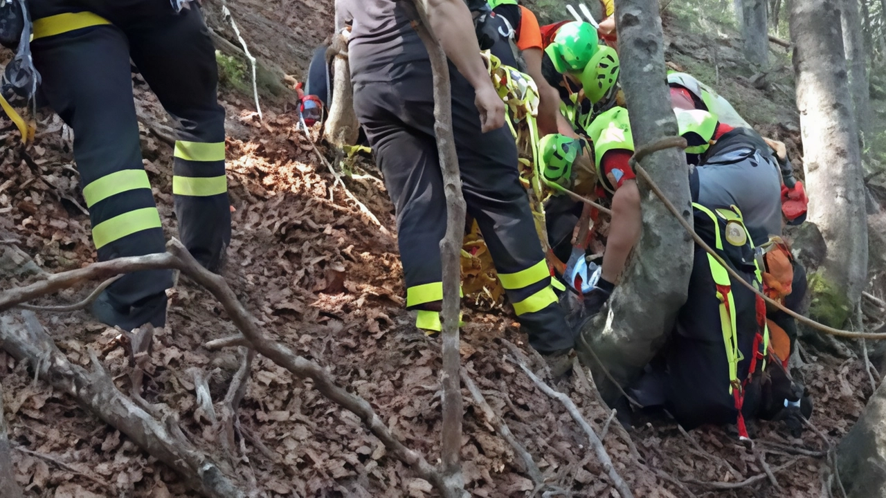 Intervento di soccorso alpino a Lucca per cercatore di funghi caduto da 10 metri. Operazione complessa su terreno ripido durata 50 minuti. Intervento di soccorso alpino a Lucca per cercatore di funghi caduto da 10 metri. Operazione complessa su terreno ripido durata 50 minuti.