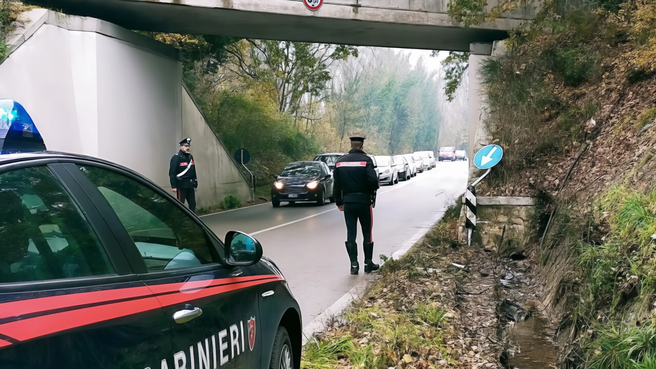 Il luogo dello schianto nel quale sono morti i ragazzi Il luogo dello schianto nel quale sono morti i ragazzi