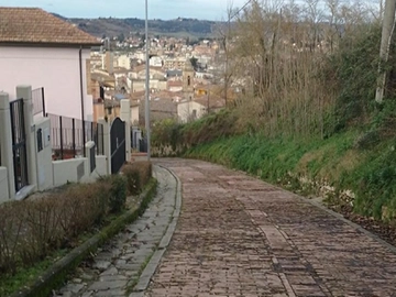 immagine articolo