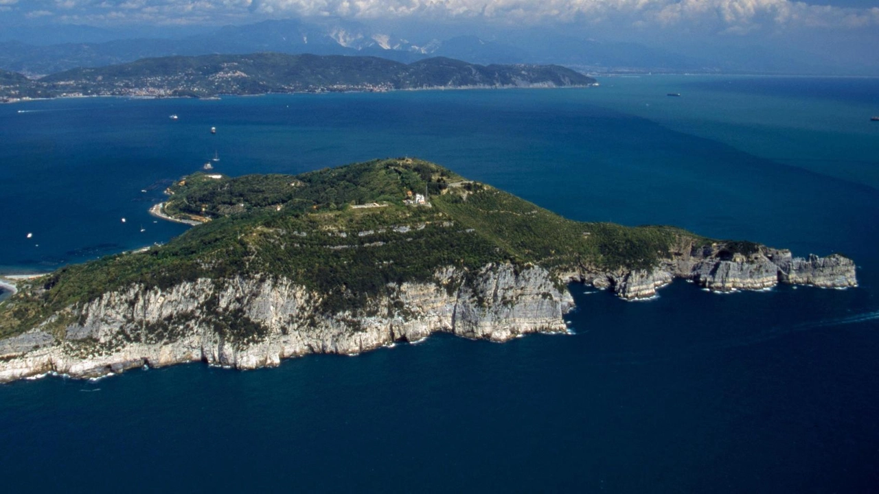 Battaglia sulla Palmaria. "Gli edifici dismessi della Marina diventino a tutti gli effetti pubblici. Il masterplan va definitivamente abbandonato" Battaglia sulla Palmaria. "Gli edifici dismessi della Marina diventino a tutti gli effetti pubblici. Il masterplan va definitivamente abbandonato"