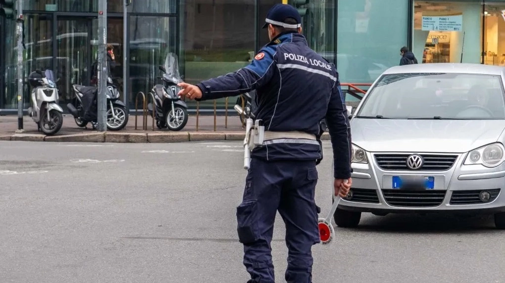 Investe un cane e non presta soccorso, sanzionato dalla polizia locale